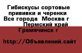 Гибискусы сортовые, прививки и черенки - Все города, Москва г.  »    . Пермский край,Гремячинск г.